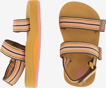 REEF Sandals 'Little Ahi' in Yellow