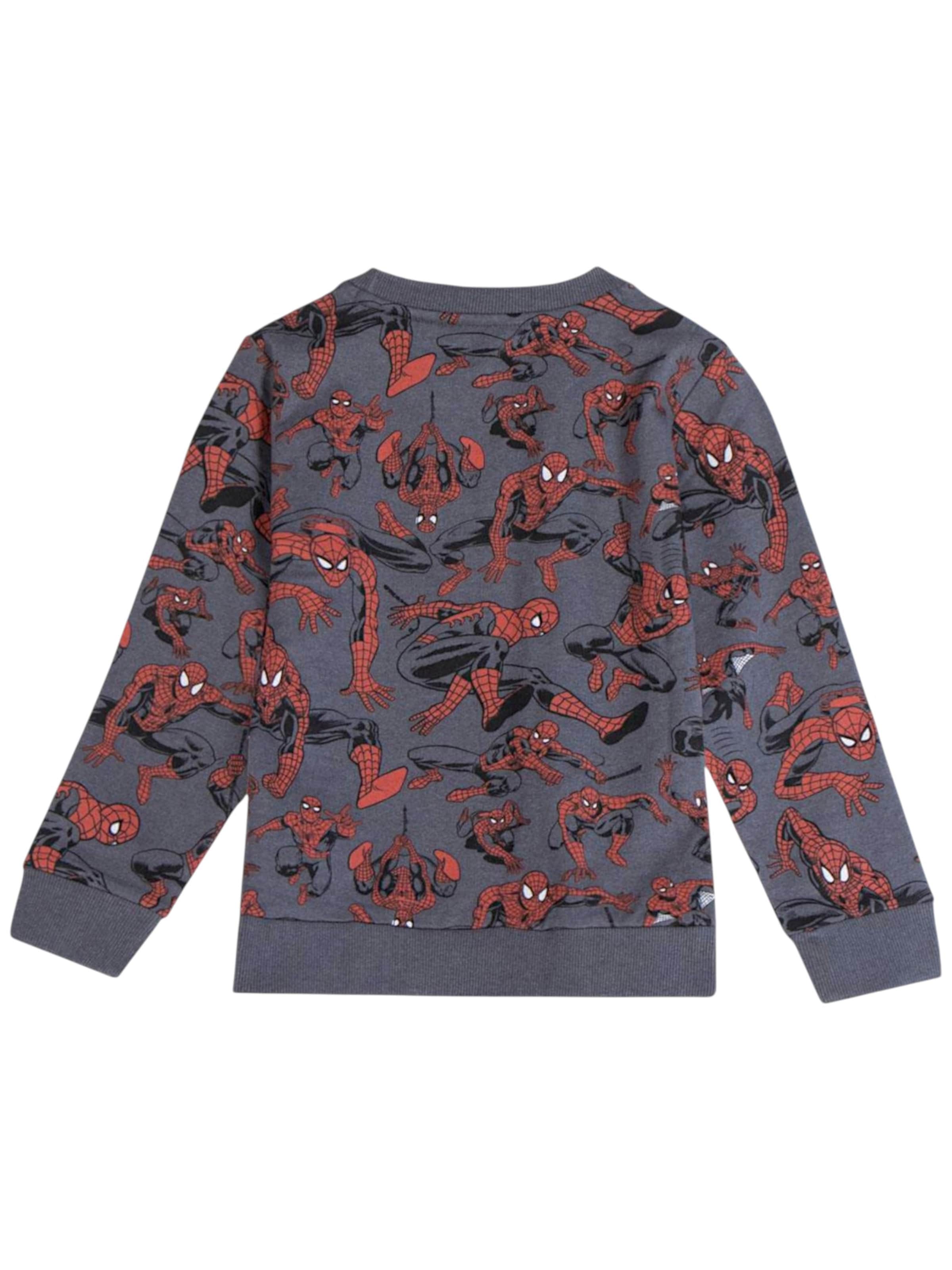 Spider-Man Sweatshirt in Grey