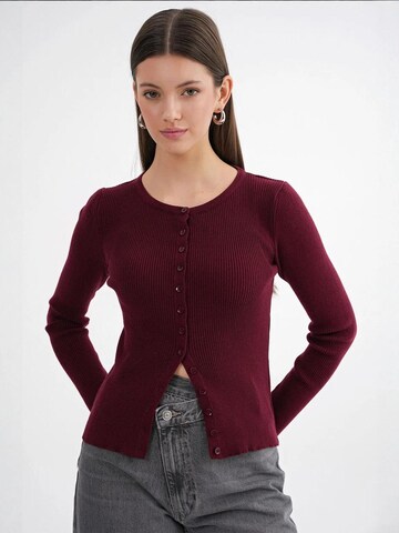 MixRay Knit Cardigan in Red: front