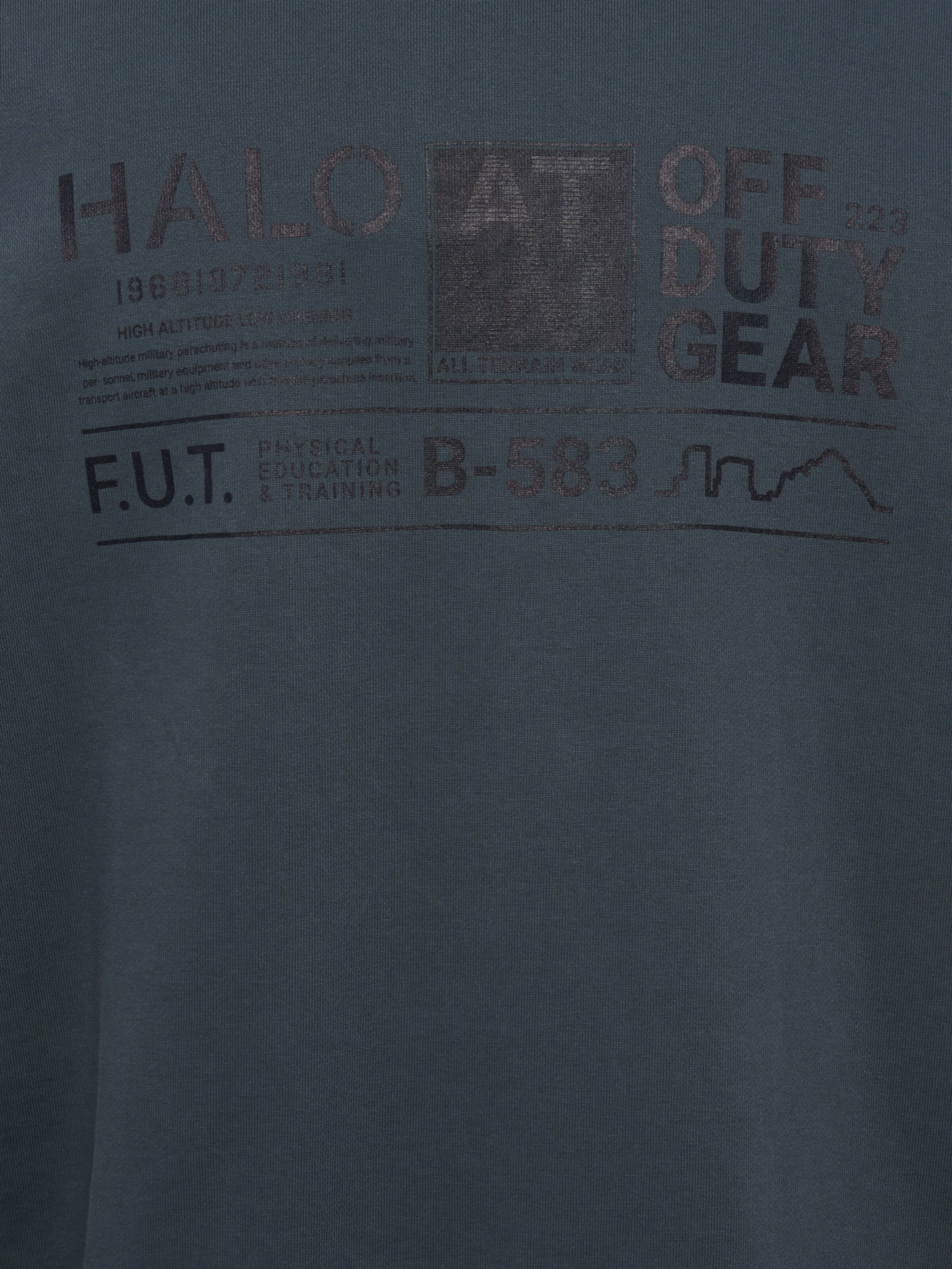 HALO Sweatshirt in Blauw