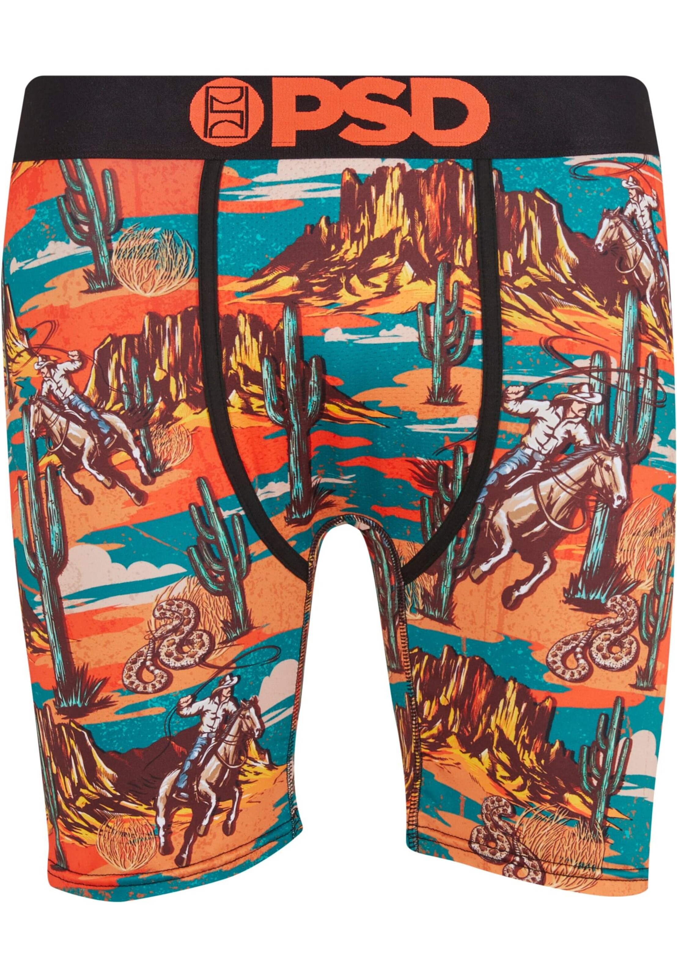 Boxers PSD en mélange de couleurs : devant