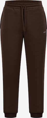Smilodox Pants in Brown: front