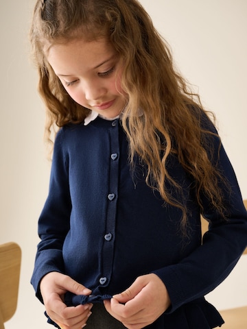 Next Knit Cardigan in Blue