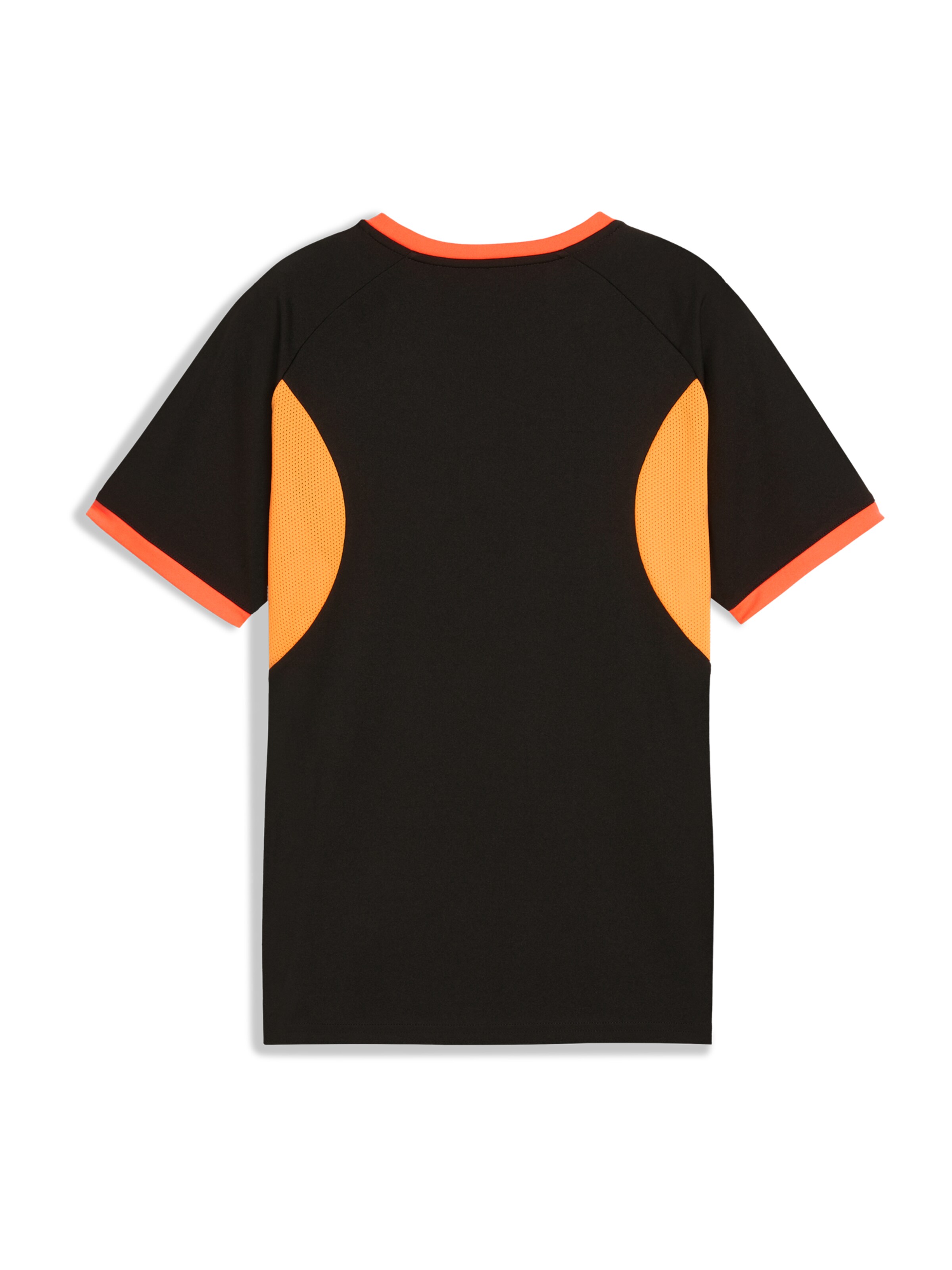 PUMA Funkčné tričko 'IndividualLIGA' - Čierna