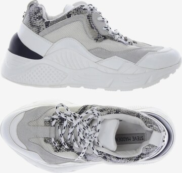 STEVE MADDEN Sneakers & Trainers in 38 in Grey: front