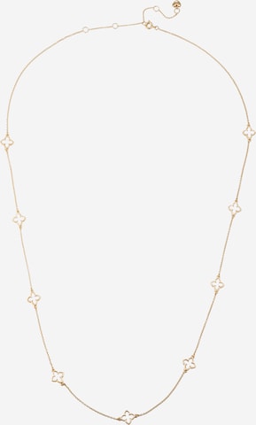 ALDO Necklace 'JAVALAERAEN' in Gold: front