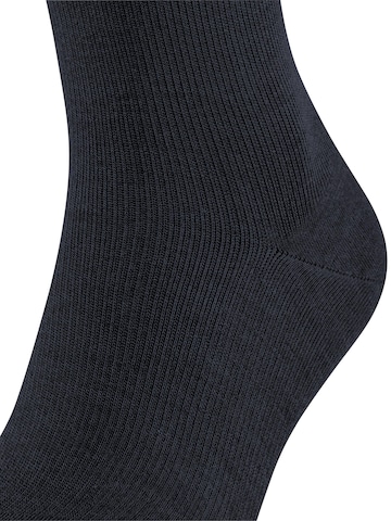 FALKE Kniestrümpfe 'Energizing Wool'‌‌‌‌‌‌‌‌ in Blau