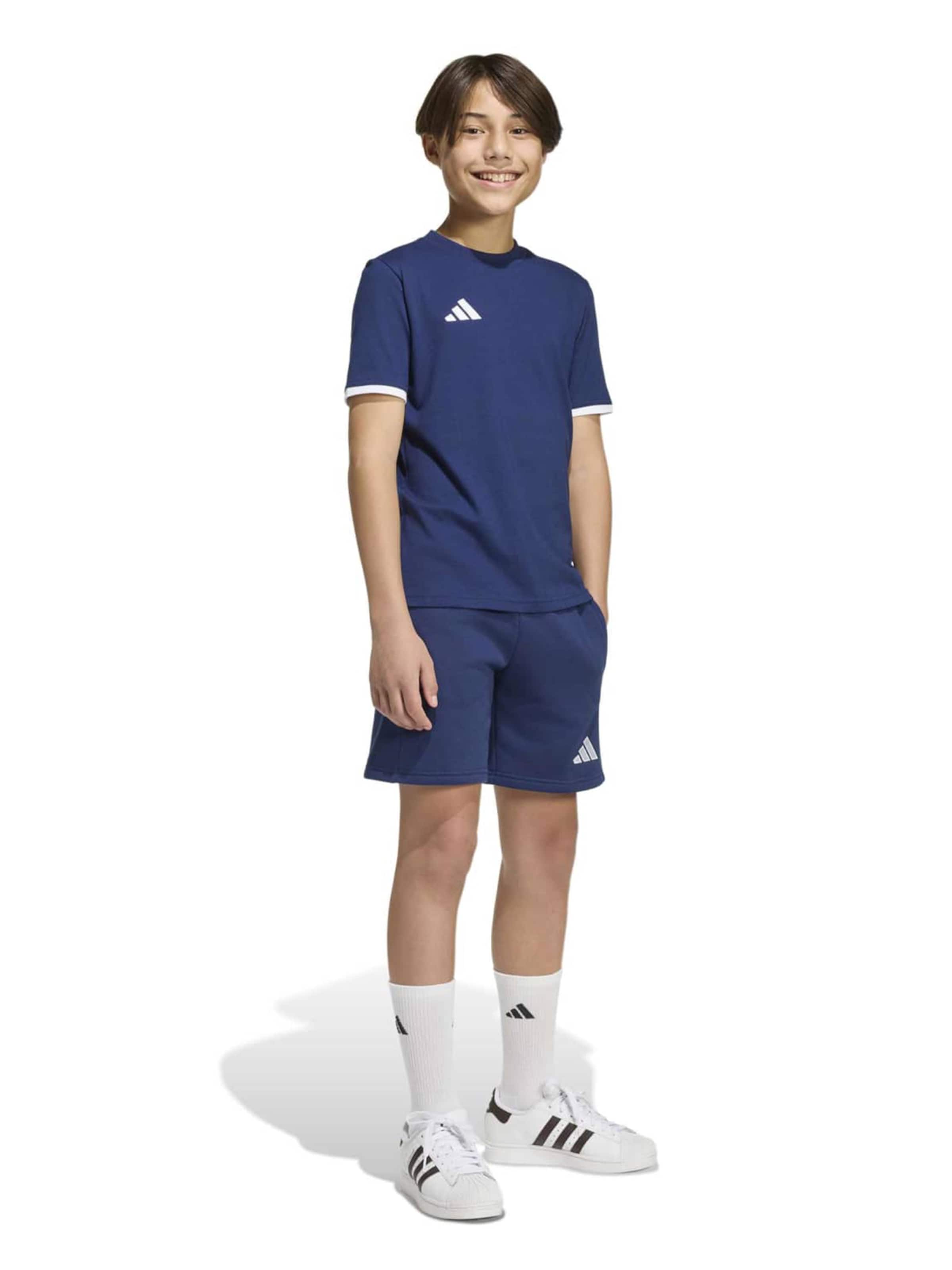 ADIDAS PERFORMANCE Performance Shirt 'ENT26' in Blue