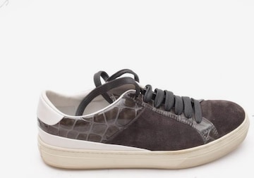 Tod's Sneakers & Trainers in 38,5 in Grey: front