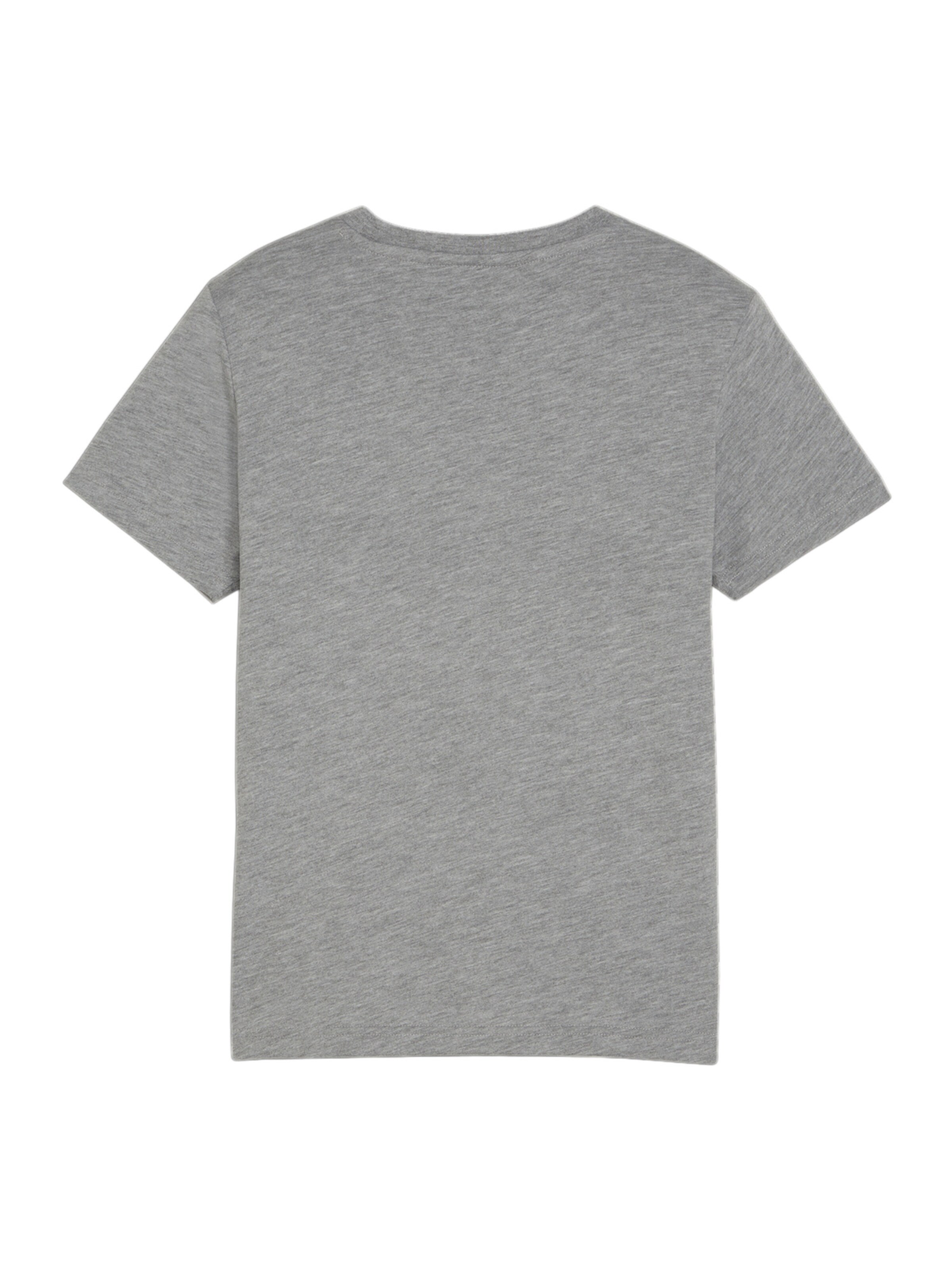 PUMA Funktionsshirt in Grau