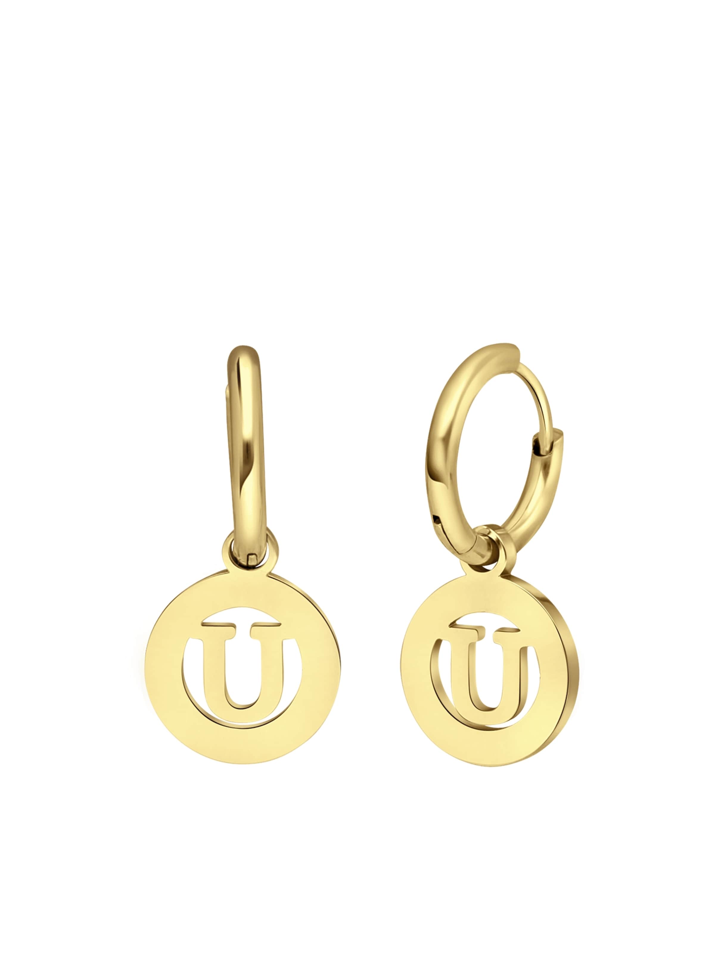 Lucardi Earrings in Gold: front