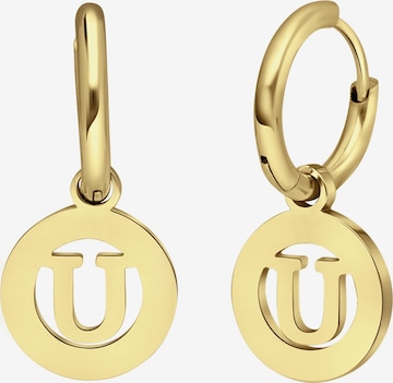 Lucardi Earrings in Gold: front