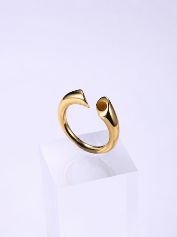 Divé Jewellery Ring in Gold