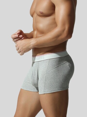 TAUWELL Boxer shorts in Grey