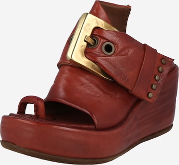 A.S.98 Mules 'Arca' in Brown: front