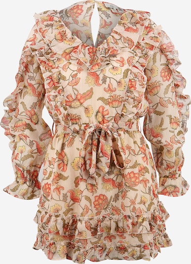 River Island Petite Robe 'FRILLY' en beige / mélange de couleurs, Vue avec produit