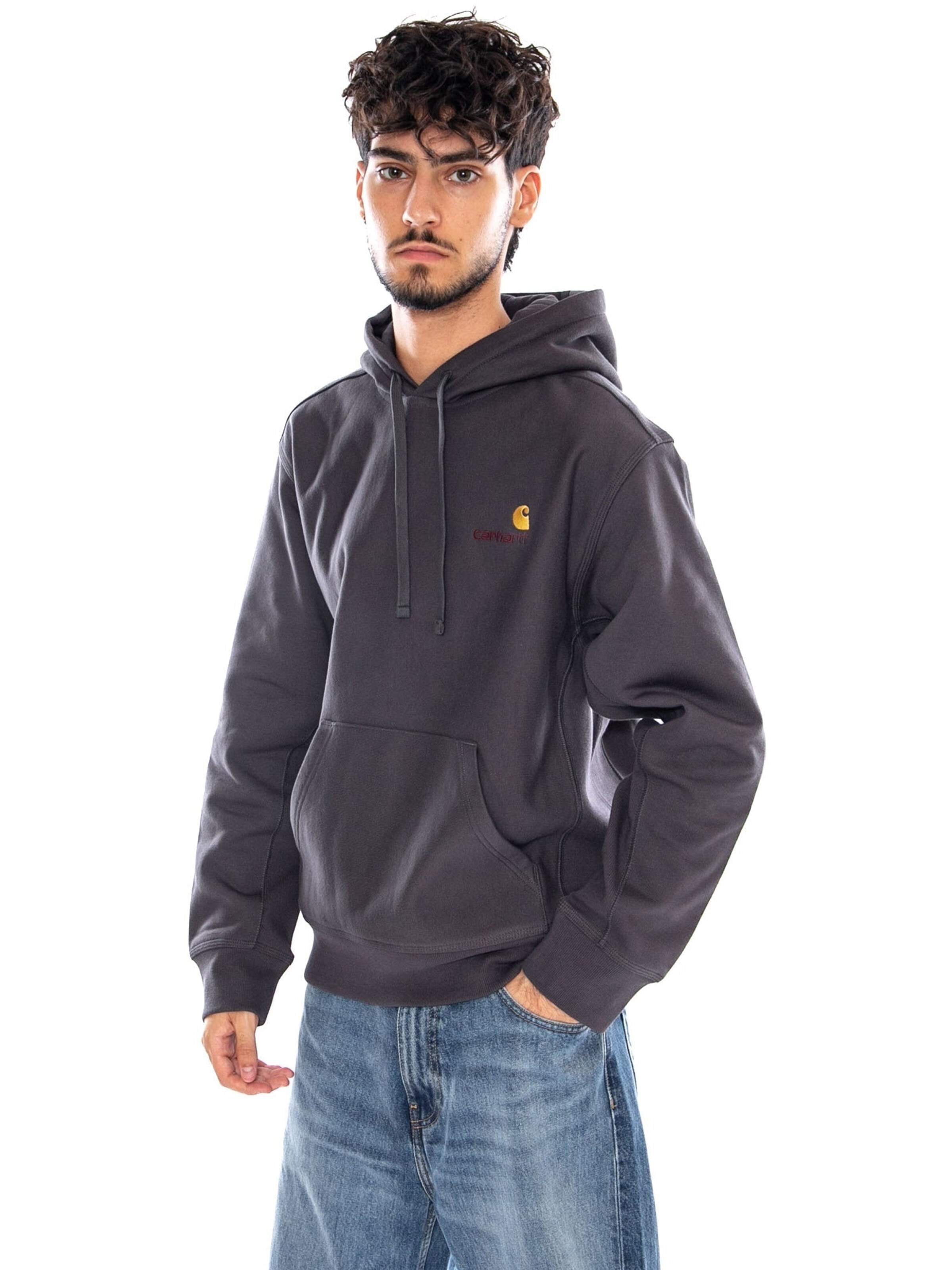 Carhartt WIP Sweatshirt 'HOODED AMERICAN SCRIPT SWEAT GRAPHITE' in Grijs