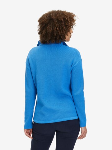 Pullover di Cartoon in blu