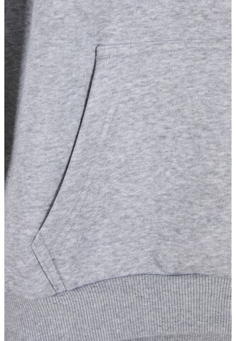 Karl Kani Mikina 'Heritage 89' – šedá