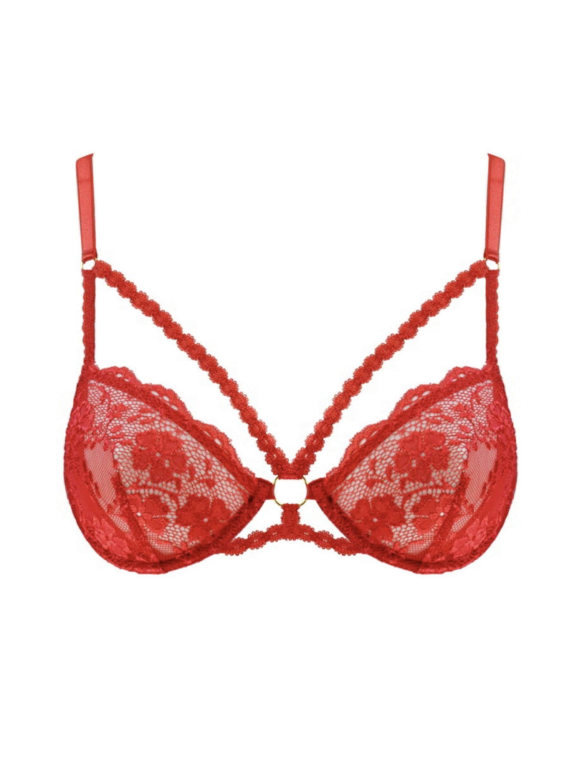 WHITE RVBBIT Push-up BH 'Mad Cat No. 13' in Rot: Vorderseite