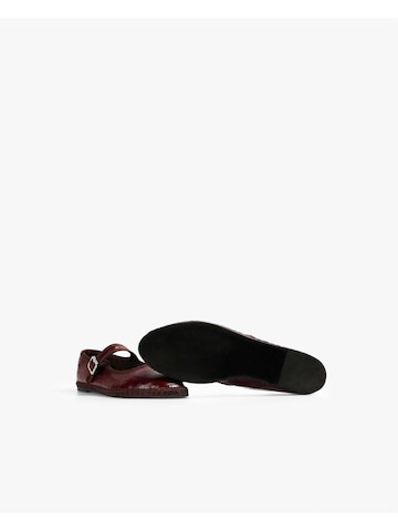 Scalpers Sandali | rdeča barva