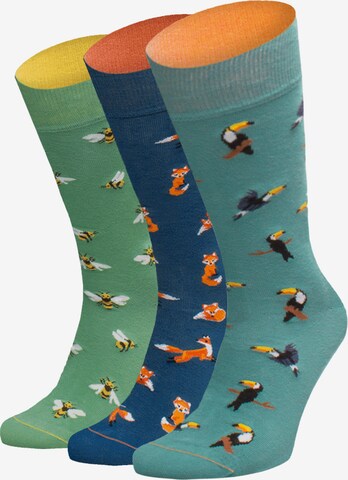 Von Jungfeld Socks in Mixed colors: front