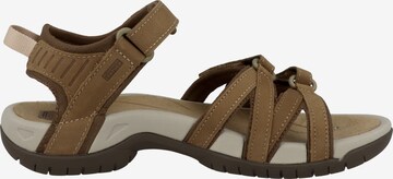 TEVA Sandals 'Tirra' in Brown