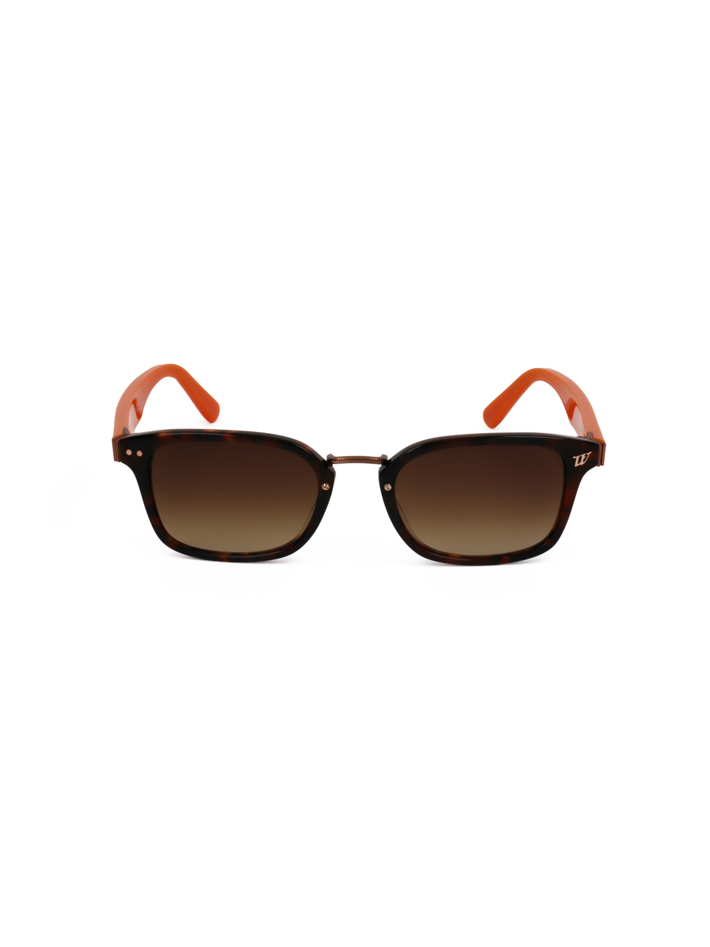 Occhiali da sole 'WE0113' di Web Eyewear in marrone