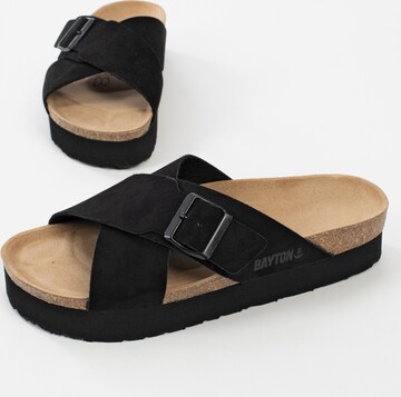 Bayton Mules 'Ajax' in Black