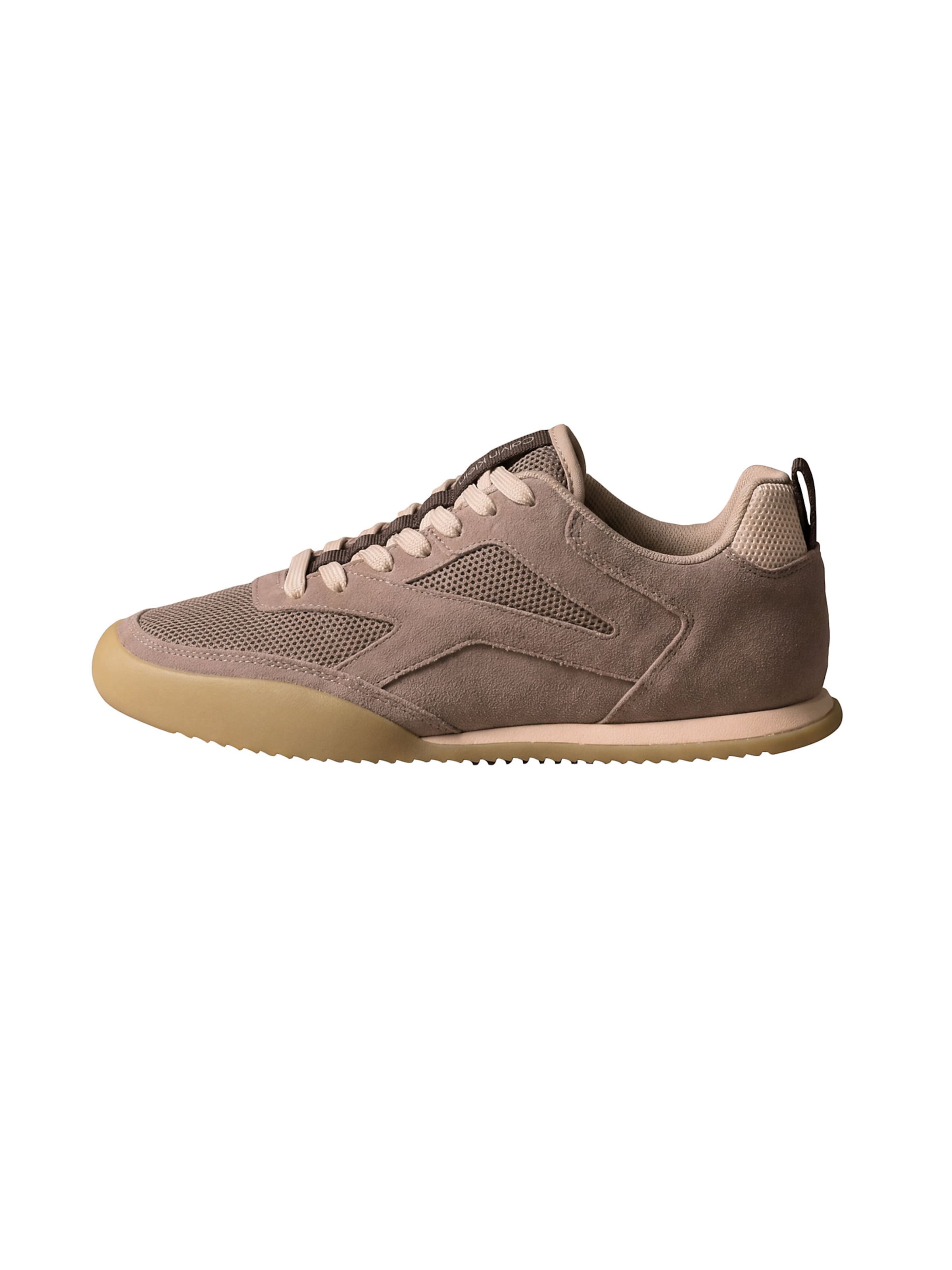 Regular Baskets basses Calvin Klein en marron : devant
