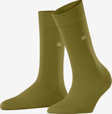 BURLINGTON Socks in Green: front