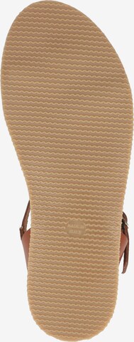 SCAPA T-Bar Sandals in Brown