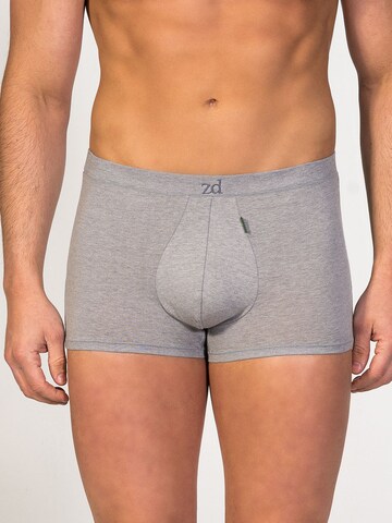 zd ZERO DEFECTS Boxershorts 'Ikaria Trunk' in Grau: Vorderseite