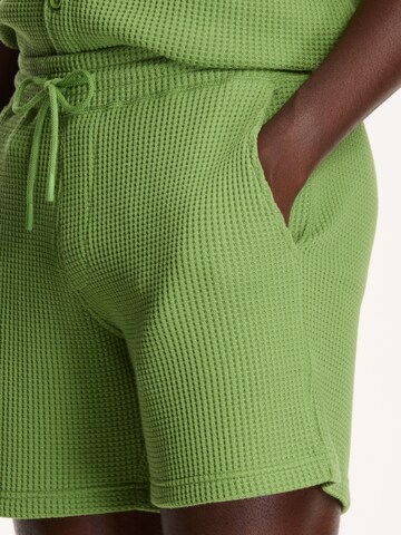 regular Pantaloni di Shiwi in verde