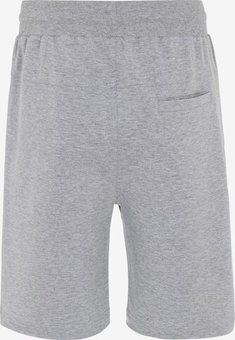 Redbridge Regular Pants 'Wigan' in Grey