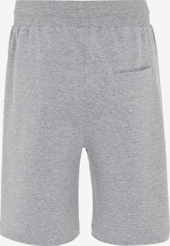 Redbridge Regular Pants 'Wigan' in Grey