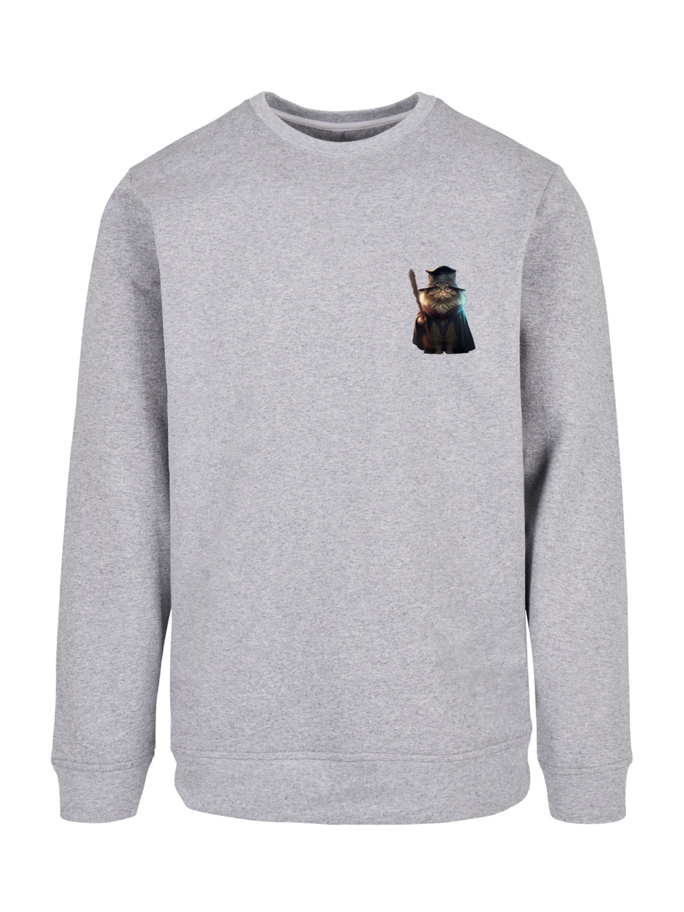 F4NT4STIC Sweatshirt 'Wizard Cat' in Grey: front