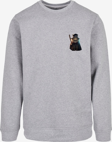 Sweat-shirt 'Wizard Cat' F4NT4STIC en gris : devant