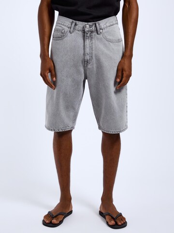 Dr. Denim Loose fit Jeans 'Omar' in Grey