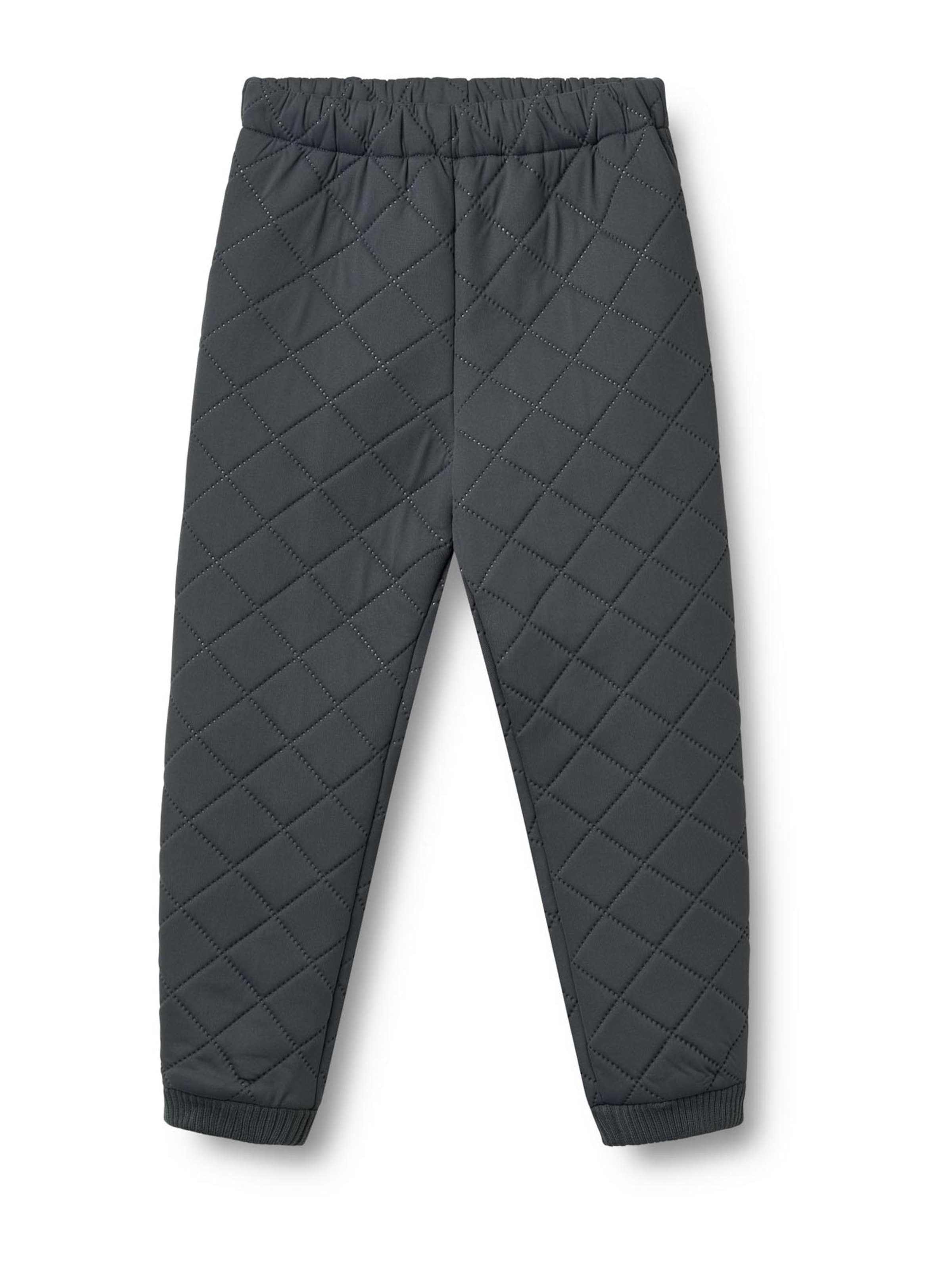 WHEAT Tapered Weatherproof pants 'Alex' in Grey: front