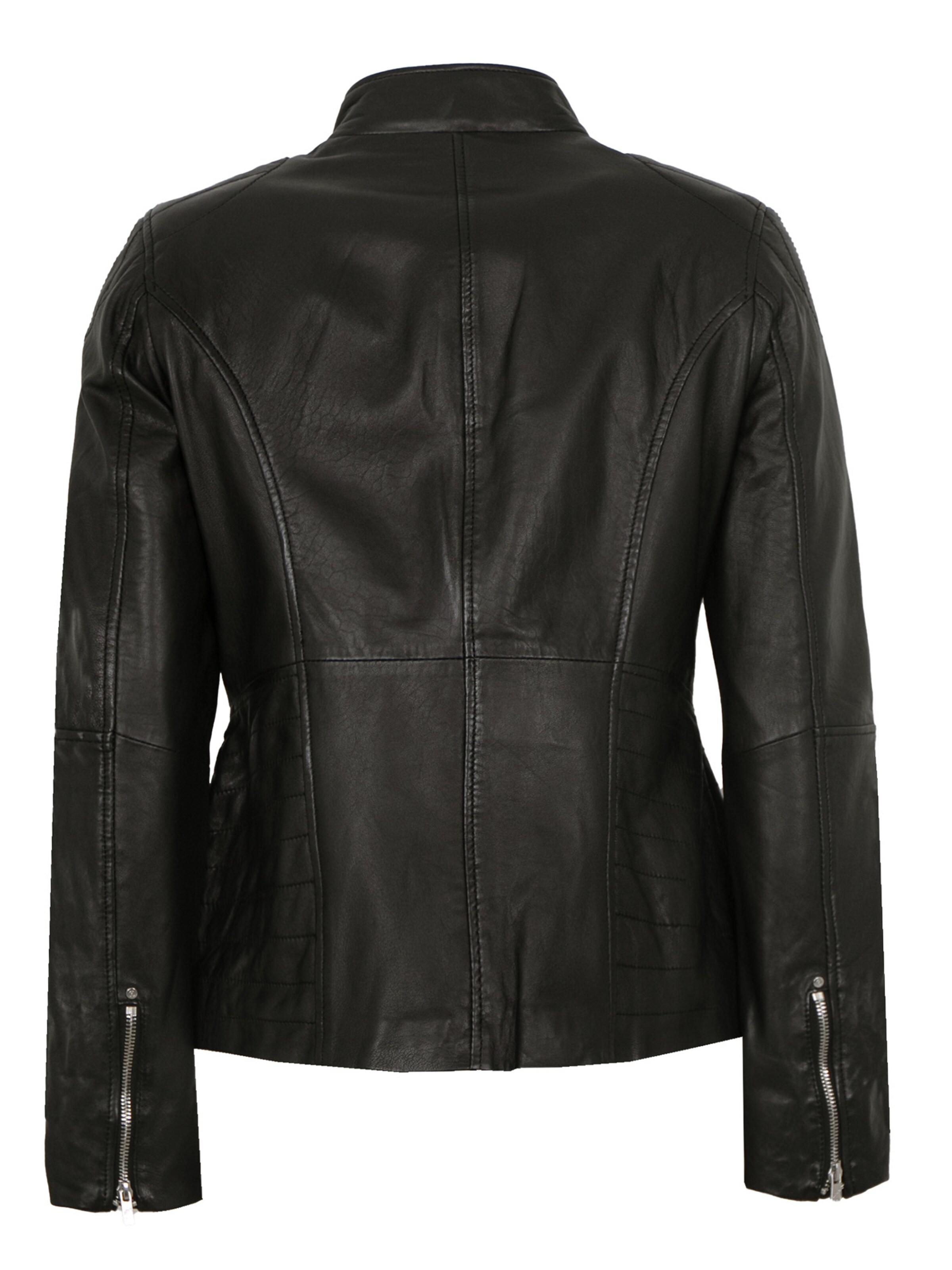 Jilani Tussenjas 'Zinnia' in Zwart