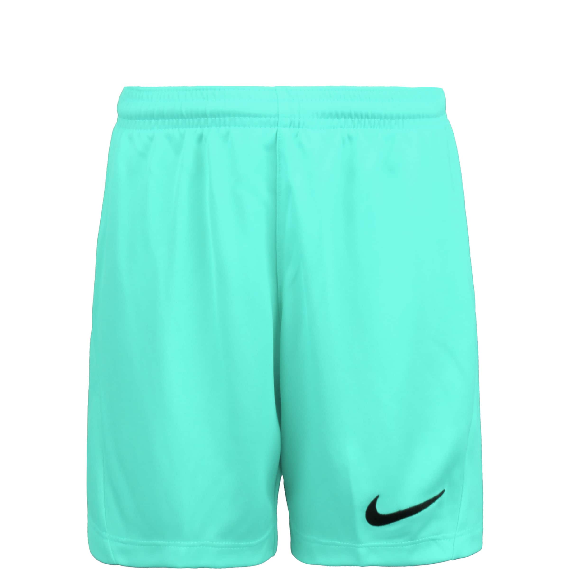 NIKE Regular Sportshorts 'Dry Park III' in Grün: Vorderseite