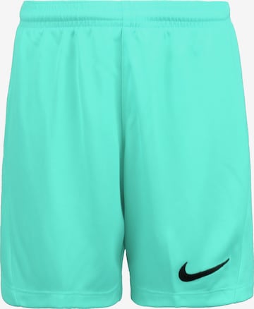 NIKE Sportshorts 'Dry Park III' in Grün: predná strana