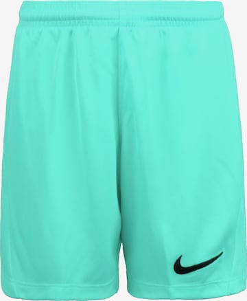 NIKE Regular Workout Pants 'Dry Park III' in Green: front