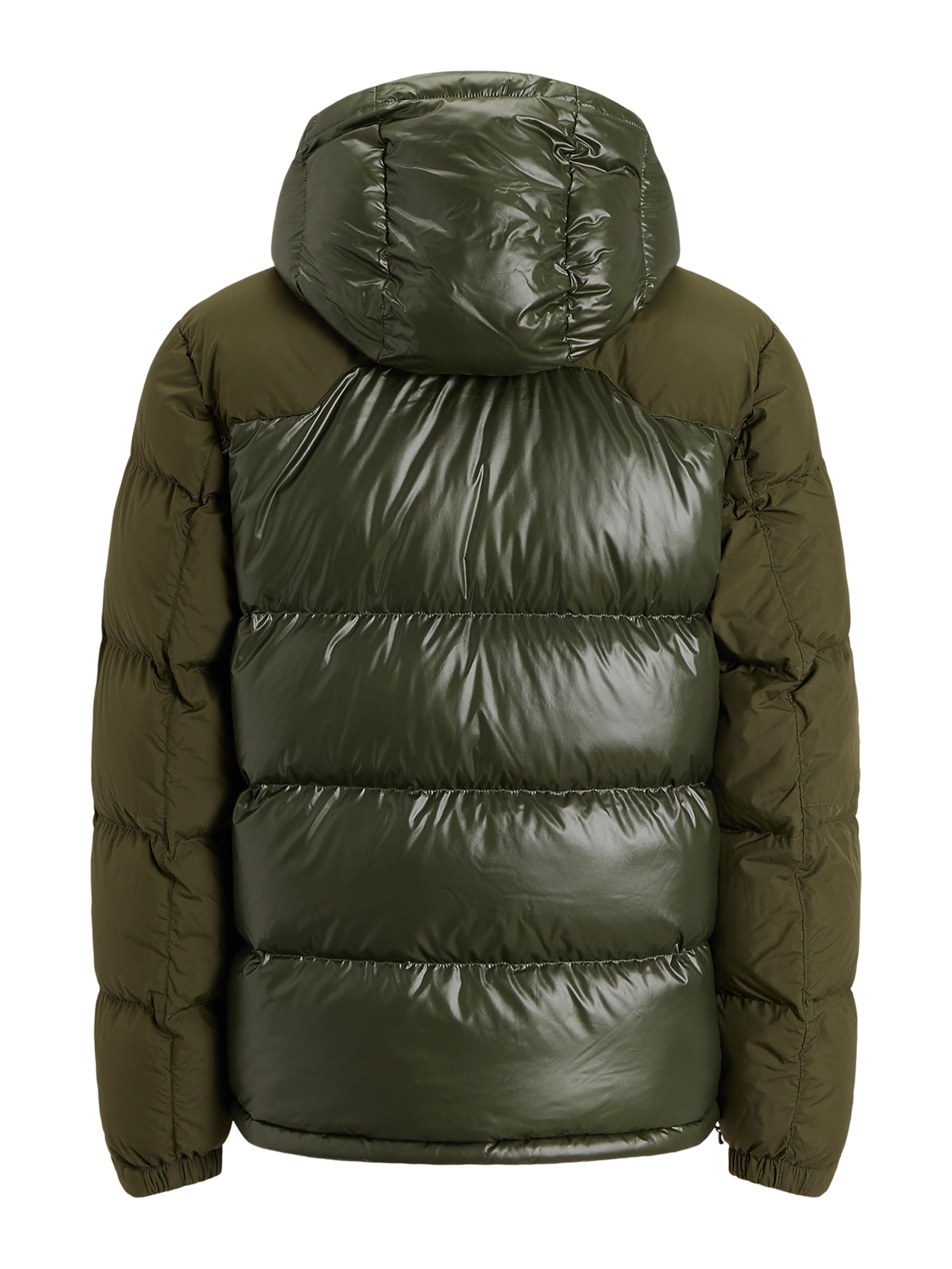 Giacca invernale di Polo Ralph Lauren in verde