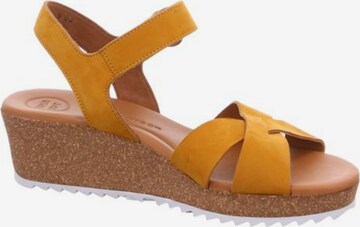 Paul Green Sandal in Yellow