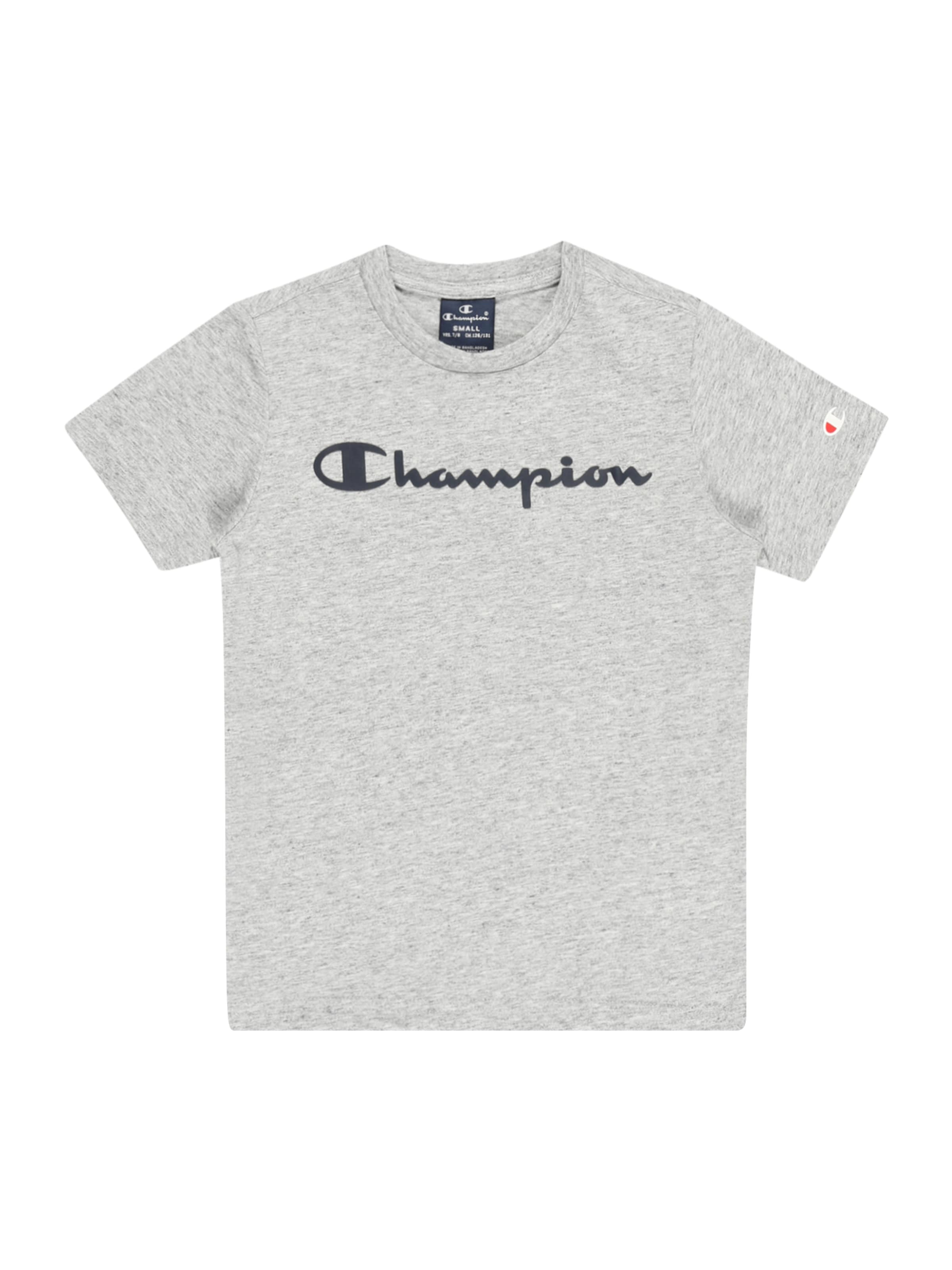 T-Shirt Champion Authentic Athletic Apparel en gris : devant