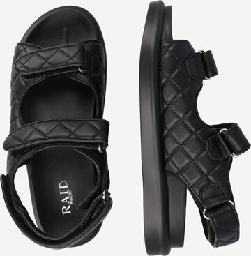 Raid Sandals 'AMYLIA' in Black