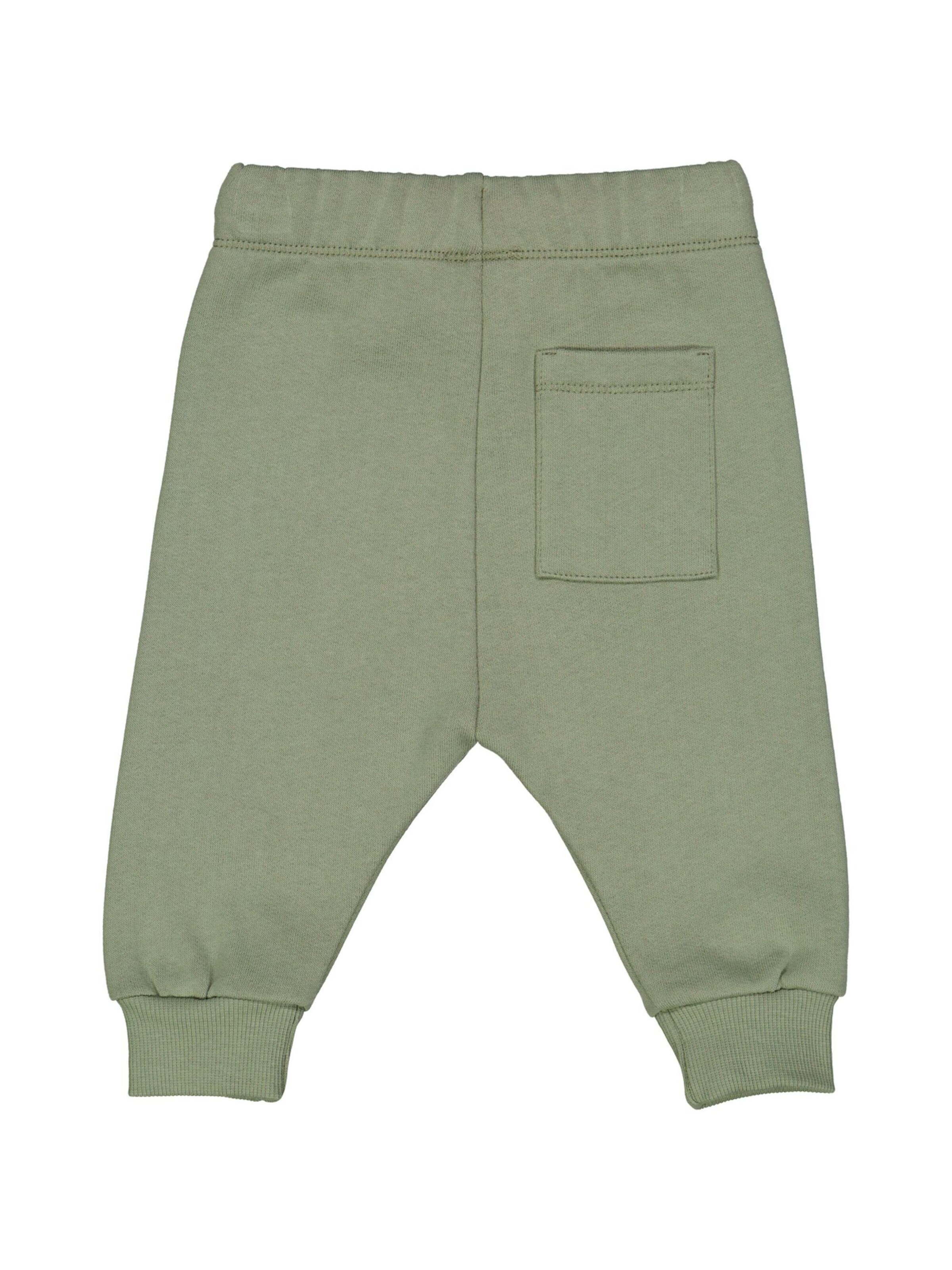 Müsli by GREEN COTTON - Regular Calças em verde