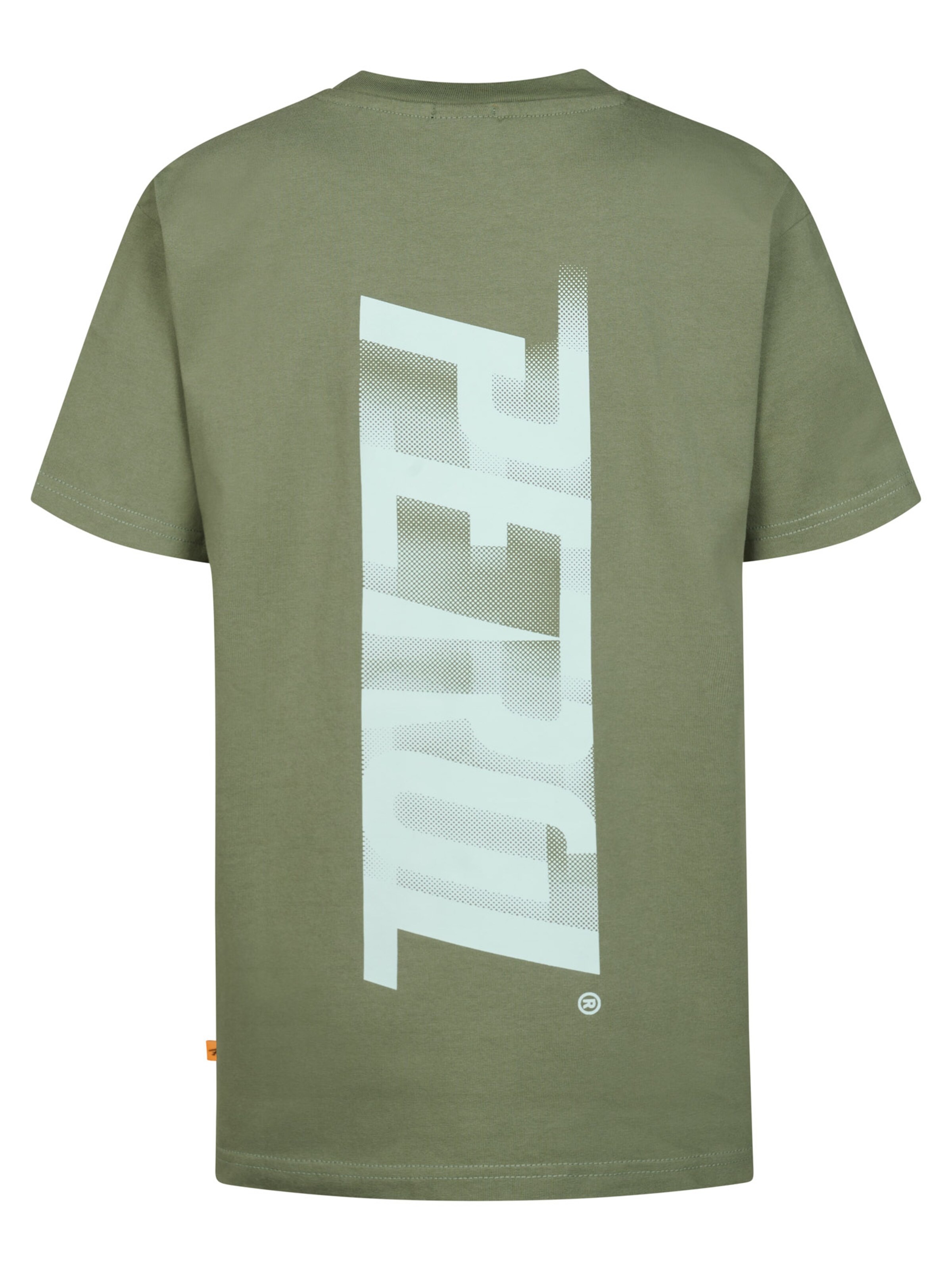 Petrol Industries Shirt 'Toro' in Groen